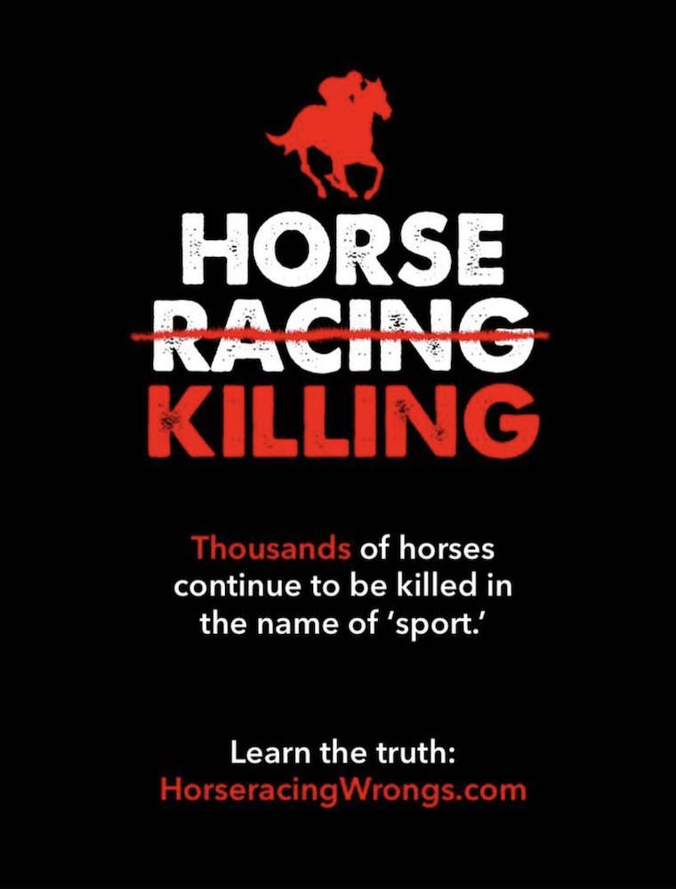 horseracing kills
