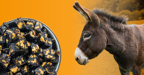 donkey skin gelatin and donkey