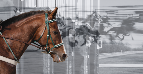 horse and horse racing imagery