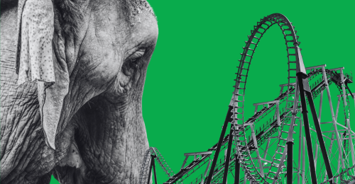 elephant and rollercoaster