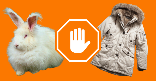 stop symbol, angora rabbit, and fur-trimmed coat
