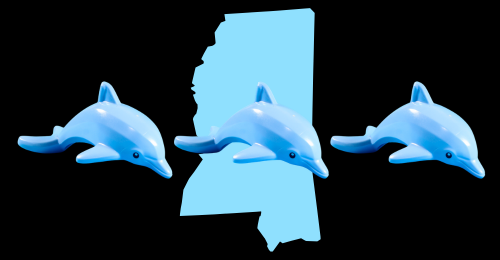 toy dolphins and Mississippi