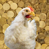 chicken and coins