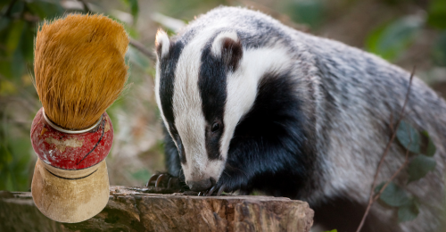 badger and badger hair brush