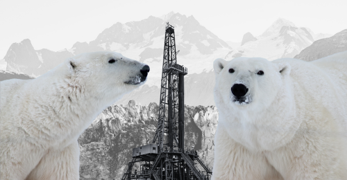 oil drilling rig and polar bears