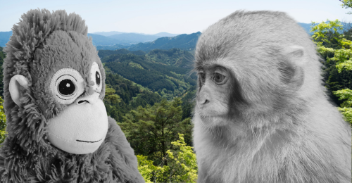 plush orangutan and baby macaque