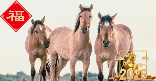 wild horses and lunar new year graphics