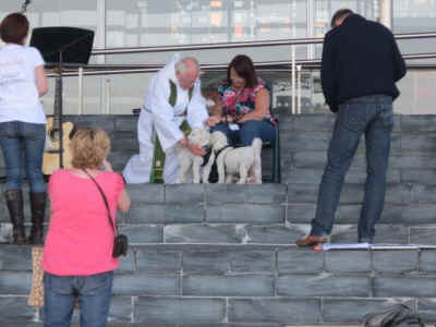 Animal Padre newsletter puppy mills
