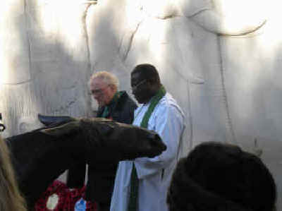 Animal Padre Photo - 030