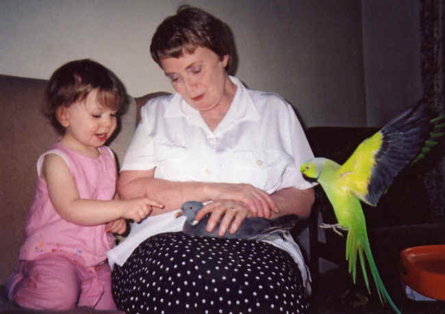 Photo - 021