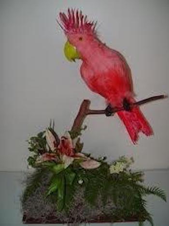 Ikebana
