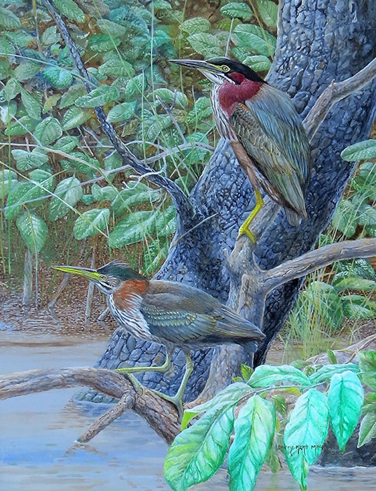bird painting