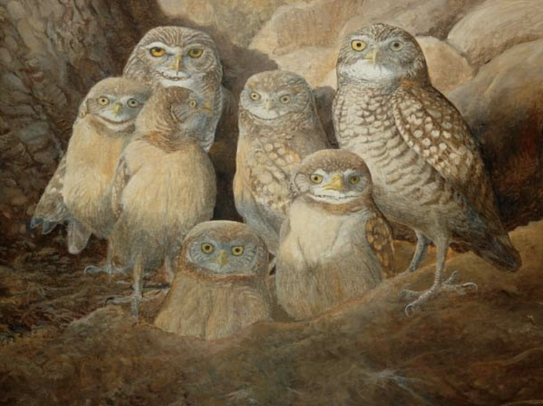 bird painting