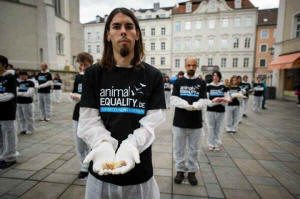 Animal Equality dead bodies