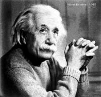 meat eating Einstein evolve