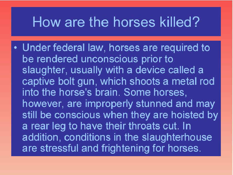ar-horseslaughter-04