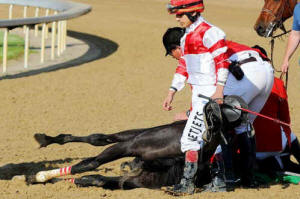 horse racing Eight Belles