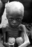 world hunger food choice vegan Oppenlander