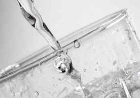 water crises animal agriculture vegan