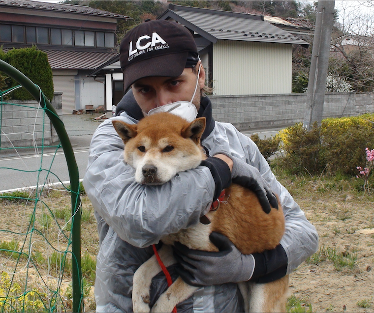 human holding rescued dog