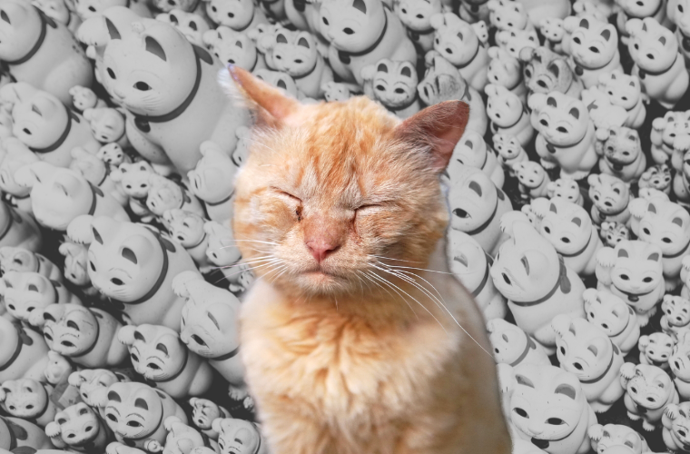 sick cat and many maneki-neko cat statues