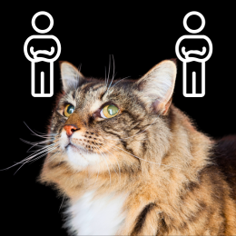 cat and two human icons with crossed arms