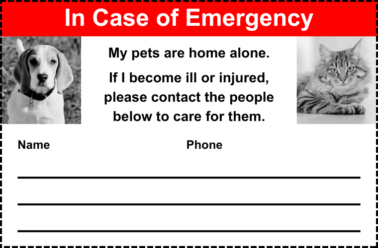 emergency alert card
