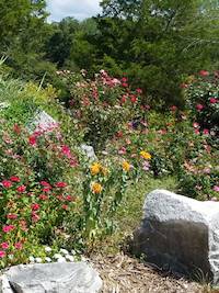 September at the Coffey Grounds