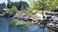 Coffey Grounds: Nature's Cathedral