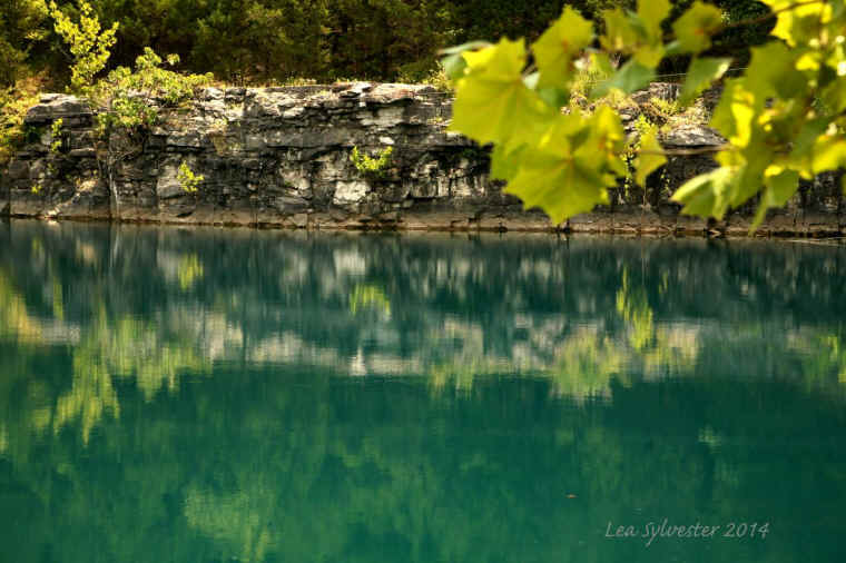 Coffey Grounds Lea Sylvester
