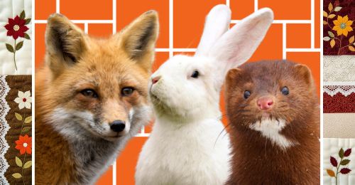 fox, rabbit, and mink