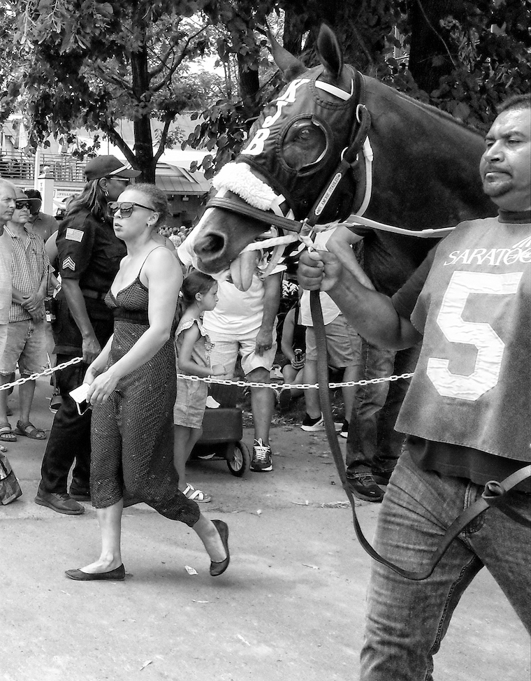 brutalized race horse