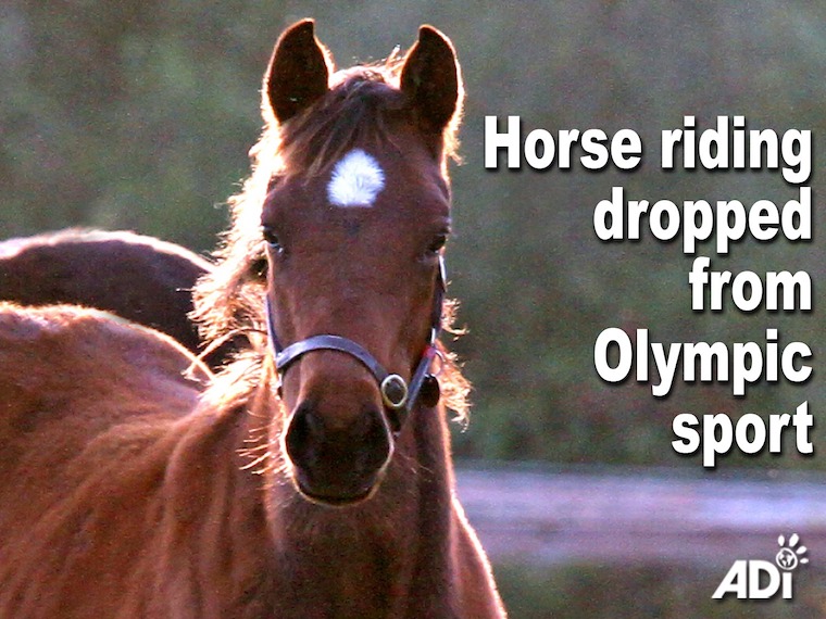 horses olympics