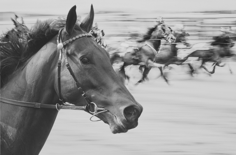 horse and horse race