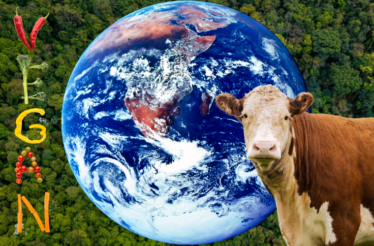 the earth, a cow, and vegan spelled in veggies