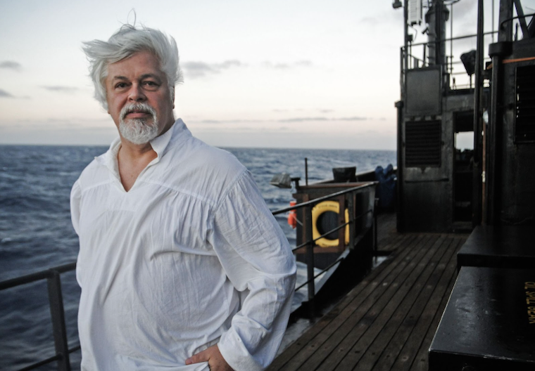 photo of Captain Paul Watson