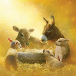 manger away in a manger Hadwen