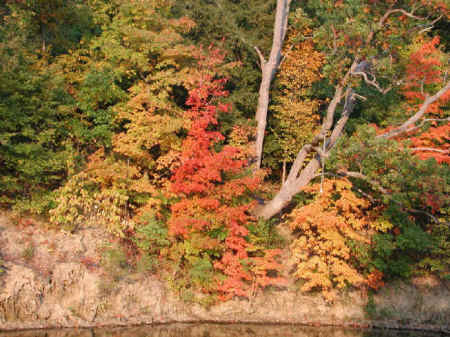 Leaf Peepers, Rejoice