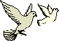 hr-199605-08-birds