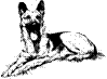 hr-199607-03-dog