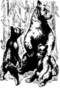hr-199701-02-bears