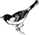 hr-199709-02-bird