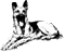 hr-199709-02-dog