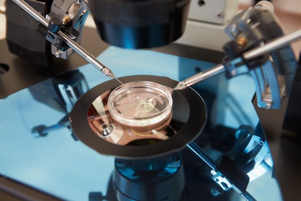 cloning petri dish