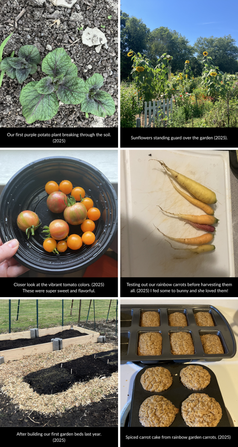 photos of garden, produce, and carrot cake