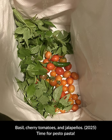 basil, cherry tomatoes, and jalape�os