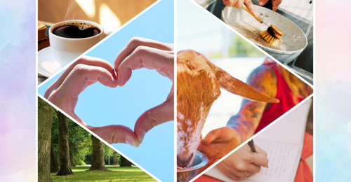 coffee, park, heart hands, feeding a goat, washing dishes, writing