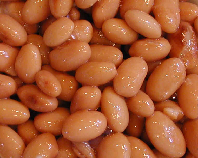 Pinto Beans Canned Ingredients Descriptions And Photos An All