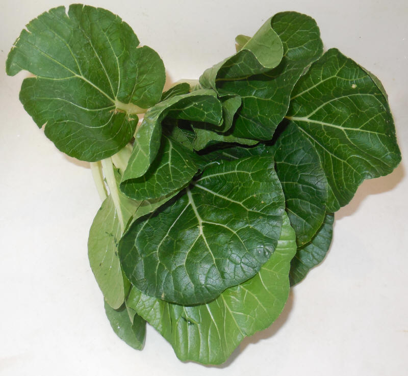 Bok Choy, Suzhou Baby