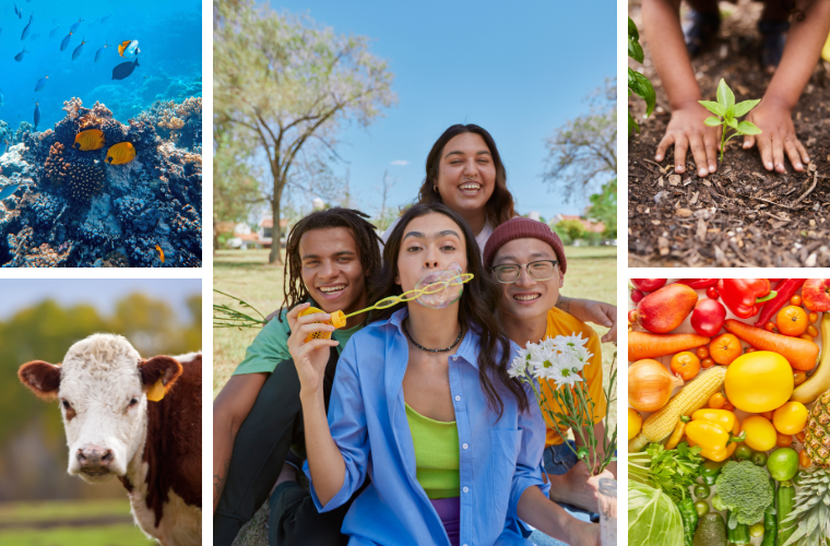 coral reef, cow, happy teens, child gardening, and fruits and veggies